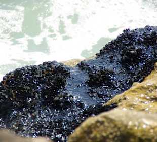 Strand von Bibione 06-2010