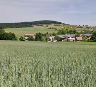 Leiding
