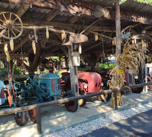 Alte Traktoren Bulldogwirt-Museum