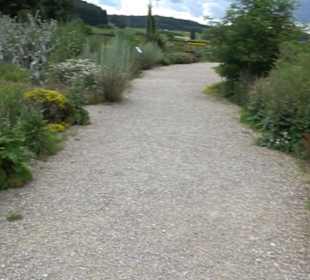 ALB-GOLD Naturgarten