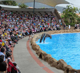 Delfine Show