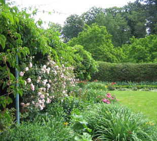 Die schönen Blumenbeete vom Schloss.