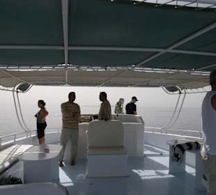 An Deck zur Delphintour