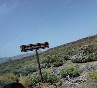 Nationalpark --> Teide
