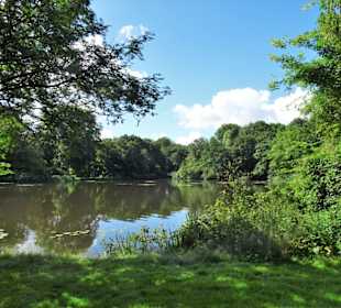 Eindrücke aus dem Stadtpark von Groningen