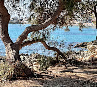 Stadtrundgang S'Illot / L'Illot