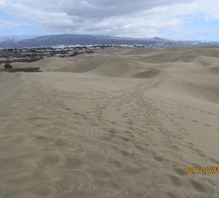 Dünen von Maspalomas