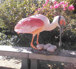 Weltvogelpark Walsrode