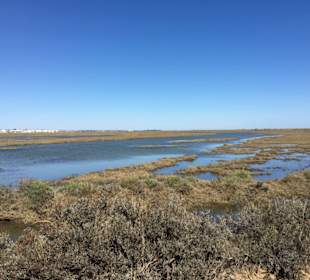 Lagunenlandschaft Tavira