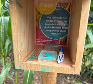 Monster-MaisfeldlMonster-Maisfeldlabyrinth Alsdorf