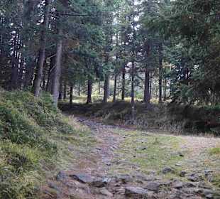 Riesengebirge/Karkonosze