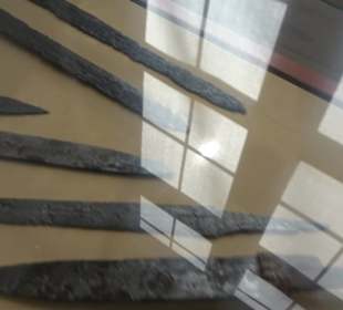 Museum für Ur- und Frühgeschichte