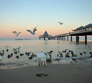 Spätnachmittag an der Seebrücke