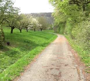 Naturerlebnisweg des NABU-Metzingen