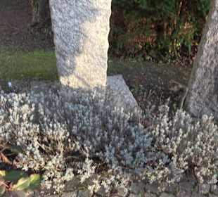 Kriegerdenkmal Raidwangen