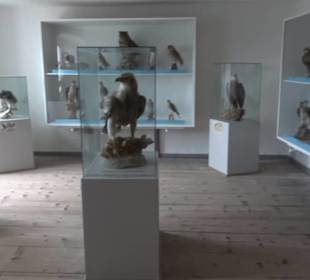 Museum Rosenburg