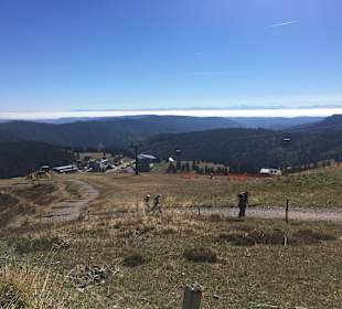 Wandern Todtnauberg