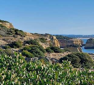 Seven Hanging Valleys Trail 