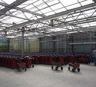 Ca.1800 Bollerwagen zur Miete