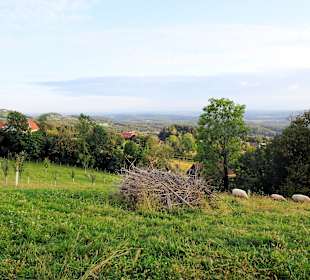 Wandern Pöllauberg