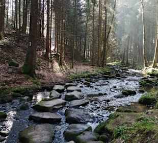Rundwanderweg Baiersbronn