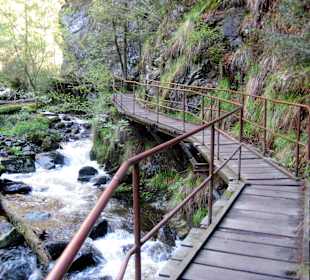 Steg in unwegsamem Gelände