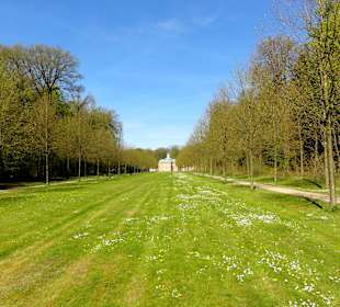 Allee mit Blick auf das Zentral-Schloss