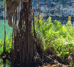 Nationalpark „Los tres ojos“ was übersetzt „die dr