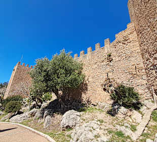 Altstadt Capdepera in Capdepera,