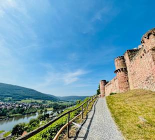 Wandern Dammbach