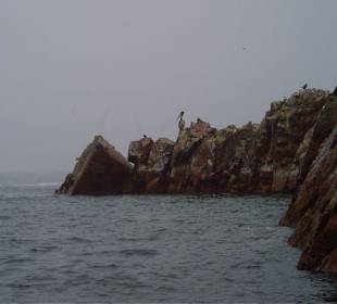 Îles Ballestas