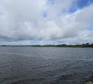 Deerpark Forest Wanderweg