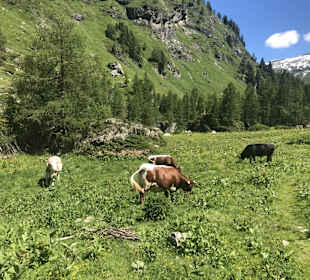 Wandern Prägraten am Großvenediger