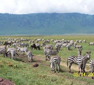Auf dem Weg zum Freibad