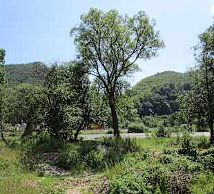 Valea Mureșului / Mureș-Tal 