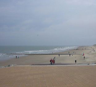 Strand Riffkicker am Januskopf