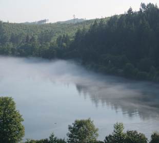 Morgens am Sorpesee