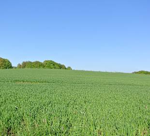 Wandern Wipperfürth