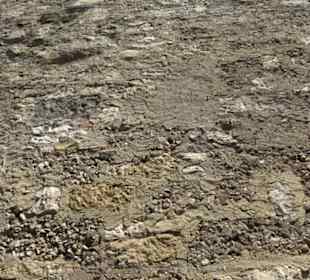 Burgruine Niederhaus