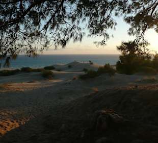 Was soll ich dazu noch schreiben?