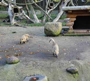 WP LH Herbst Impression