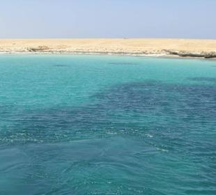 Ausflug Giftun Insel