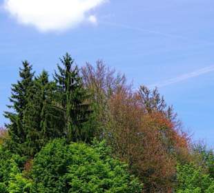 Wanderung zum Bärenfels