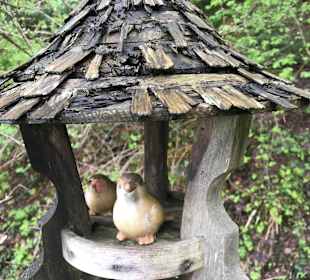 Wandern Fügen (Zillertal)