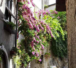 Streifzug durch die Altstadt von Limone