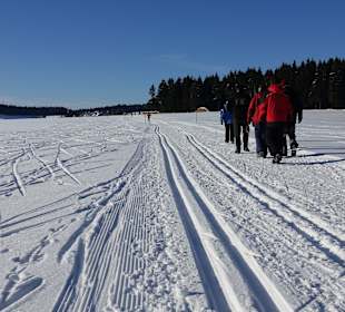 Wandern Neuhaus am Rennweg