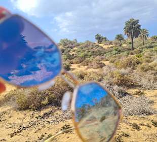 Inselrundfahrt Gran Canaria