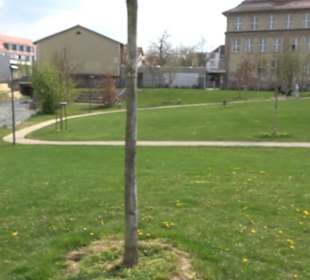 Hain der Kulturen