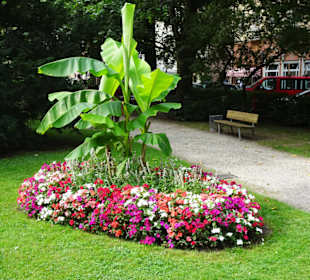 Rundgang durch den Stadtpark von Traunstein
