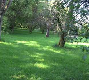 Botanischer Garten München
